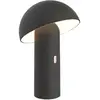 Image de Lampe design en métal noir H23cm
