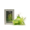 Image de L'Air Du Temps - Nina Ricci Eau De Toilette Spray 50 ml