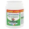 Image de Juvamine Thé Vert Guarana 120 gélules