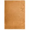 Image de Tapis lumineux ocre 120x170