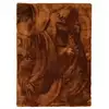 Image de Tapis à poils longs extra-doux marron 160x230