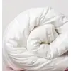 Image de Couette bébé coton bio 80x120cm