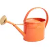 Image de Arrosoir en acier galvanisé avec pomme 1.75 litres rouge corail