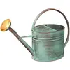 Image de Arrosoir vert vieilli avec pomme 4 litres