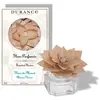 Image de Fleur parfumée fleur de monoï