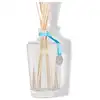 Image de Grand diffuseur de parfum fleur de monoï