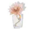 Image de Fleur parfumée grand format mandarine-bergamote