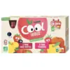 Image de Vitabio Cool Fruits Biparfums 2 recettes Gourdes de 12 x90g