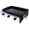 Image de Plancha à gaz avec cuve et bâti en acier laqué métal/inox argent