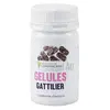 Image de Herbier de Gascogne Gattilier Bio 90 Gélules