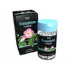 Image de SID Nutrition Phyto Classics Harpagophytum 90 gélules végétales