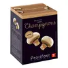Image de Protifast Soupe Hyperprotéinée Velouté de Champignons 7 sachets