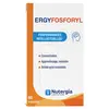 Image de Nutergia Ergyfosforyl 60 capsules