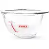 Image de Jatte expert bowl 30 cm - 4.2 l transparent / cristal en verre