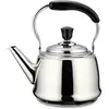 Image de Bouilloire Claudette 4 l en inox argent