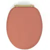 Image de Abattant wc frein de chute design bois terracotta 48 x 38