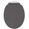 Image de Abattant wc frein de chute design bois gris anthracite 48 x 38