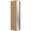 Image de Dressing miroir effet bois clair