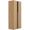Image de Dressing 2 portes effet bois clair