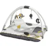 Image de Tapis d'éveil BABYFAN