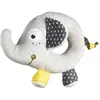 Image de Hochet anneau Babyfan