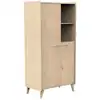 Image de Armoire 2 portes couleur bois