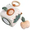 Image de Cube d'activités BOTANICA