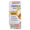 Image de Nat & Form Bio Spray Buccal à la Propolis 15ml