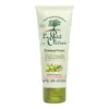 Image de Le Petit Olivier Gommage Visage Poudre Naturelle De Noyaux D'Olive 75ml