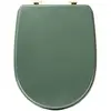 Image de Abattant wc coloris vert