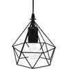 Image de Suspension métal filaire noir D19cm H22cm