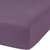 Image de Drap housse coton 1 personne uni 90x190 cm violet