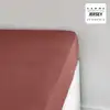 Image de Drap housse jersey 2 personnes uni 160x200 cm rouge