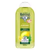Image de Le Petit Marseillais Shampooing Purifiant Ortie Citron Bio 300 ml
