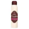 Image de Rogé Cavaillès Déodorant ABSORB+ 48h Homme Spray 150ml