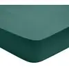Image de Drap housse percale forêt 160x200 cm