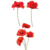 Image de Autocollant pour vitres coquelicots 44,5x51cm