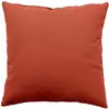 Image de Grand coussin déhoussable orange terre cuite 60 x 60 cm