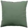 Image de Petit coussin déhoussable vert argile 40 x 40 cm