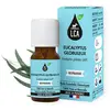 Image de LCA Huile Essentielle de Eucalyptus Globuleux BIO 10 ml