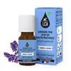Image de LCA Huile Essentielle de Lavande Fine AOP BIO 10 ml