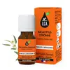 Image de LCA Huile Essentielle de Eucalyptus Citronné BIO 10 ml