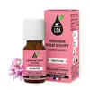 Image de LCA Huile Essentielle de Géranium Rosat d Egypte BIO 10 ml