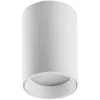Image de Spot cylindrique en métal blanc