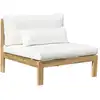 Image de Fauteuil de jardin en teck massif blanc