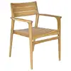 Image de Fauteuil de jardin en teck massif