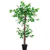 Image de Plante artificiel ficus H1,2m