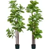 Image de Lot de 2 ficus lutea artificiels h.1,8 m total 240 feuilles réalistes