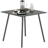 Image de Table à manger de jardin carrée 4 places acier gris