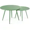 Image de Lot de 2 tables basses de jardin en acier vert cactus